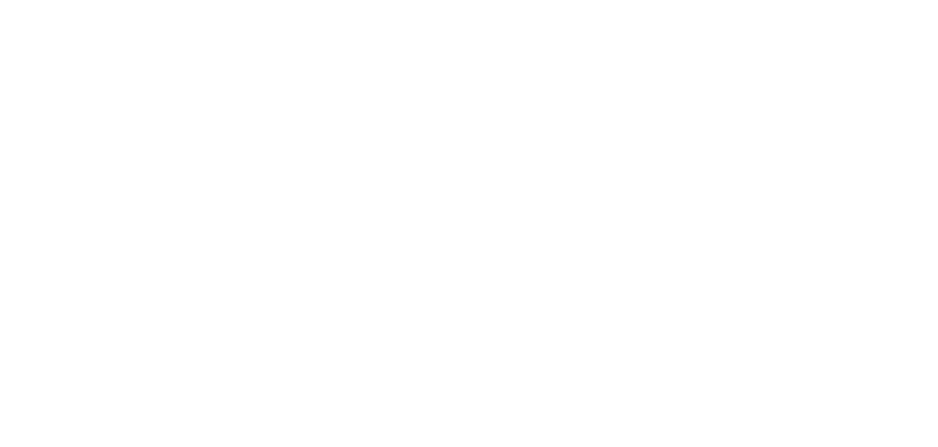 INAM logo