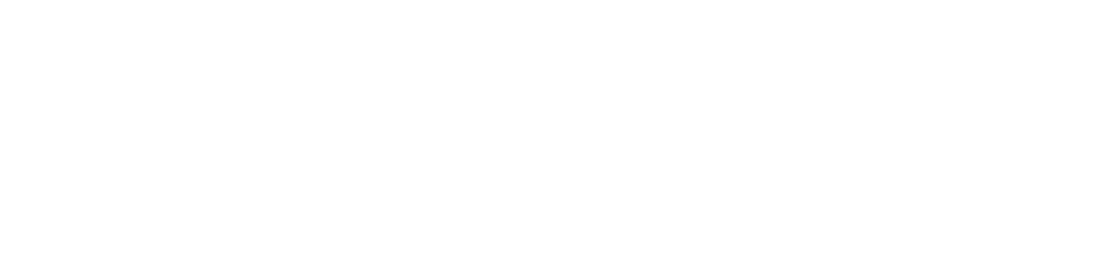 Plug and Play logo
