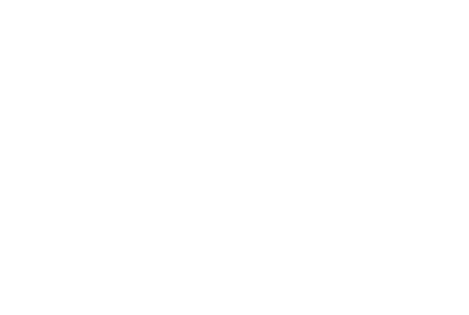 USRIA logo
